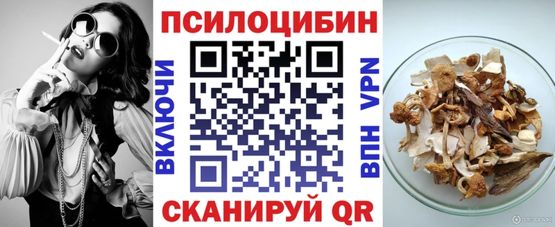 Псилоцибиновые грибы Psilocybine cubensis  купить закладку  Сургут 